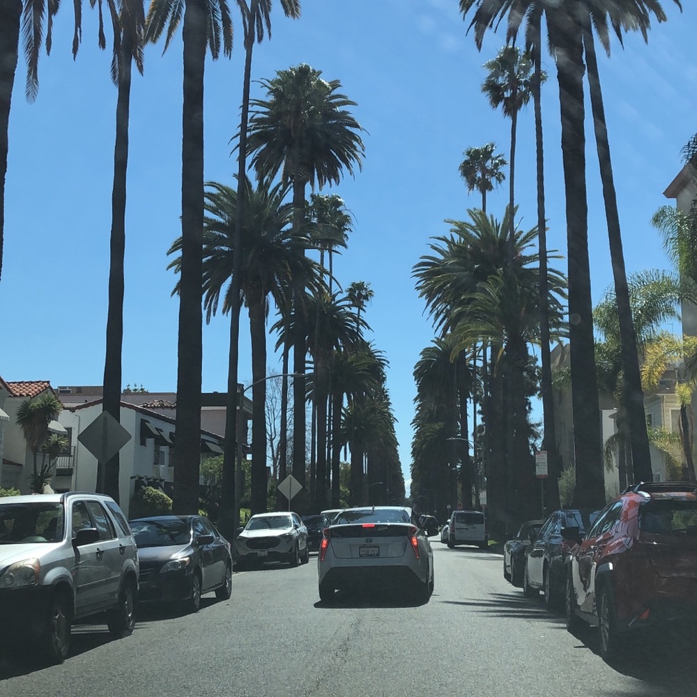 Meet your Posher, Daniel-kay